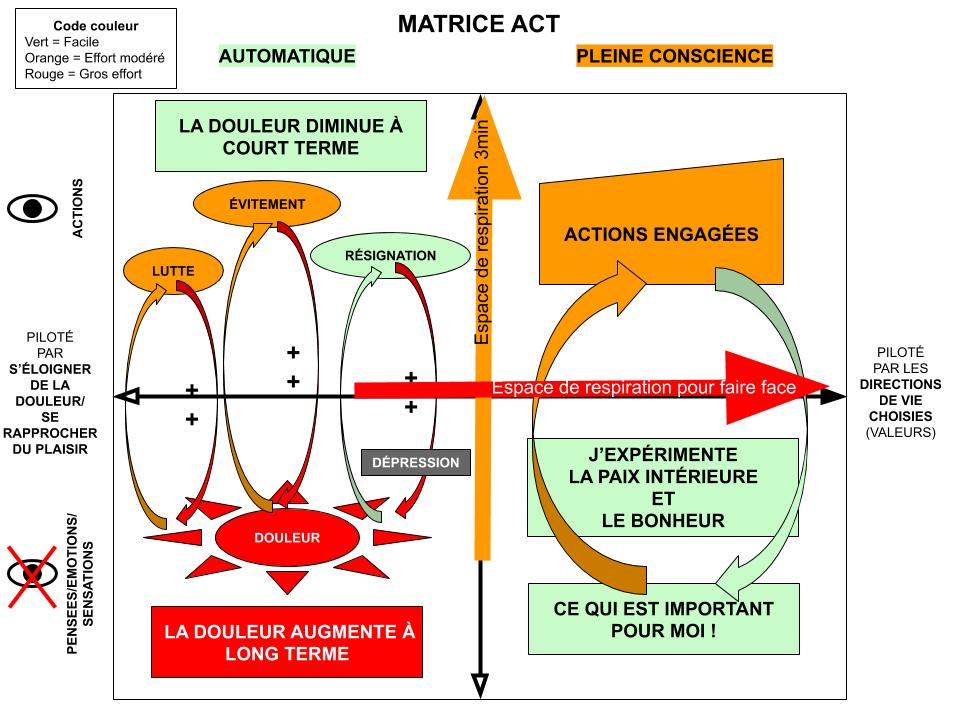 Matrice ACT