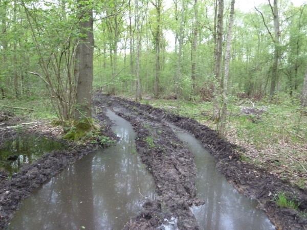 Et vous sortiez du trou ?