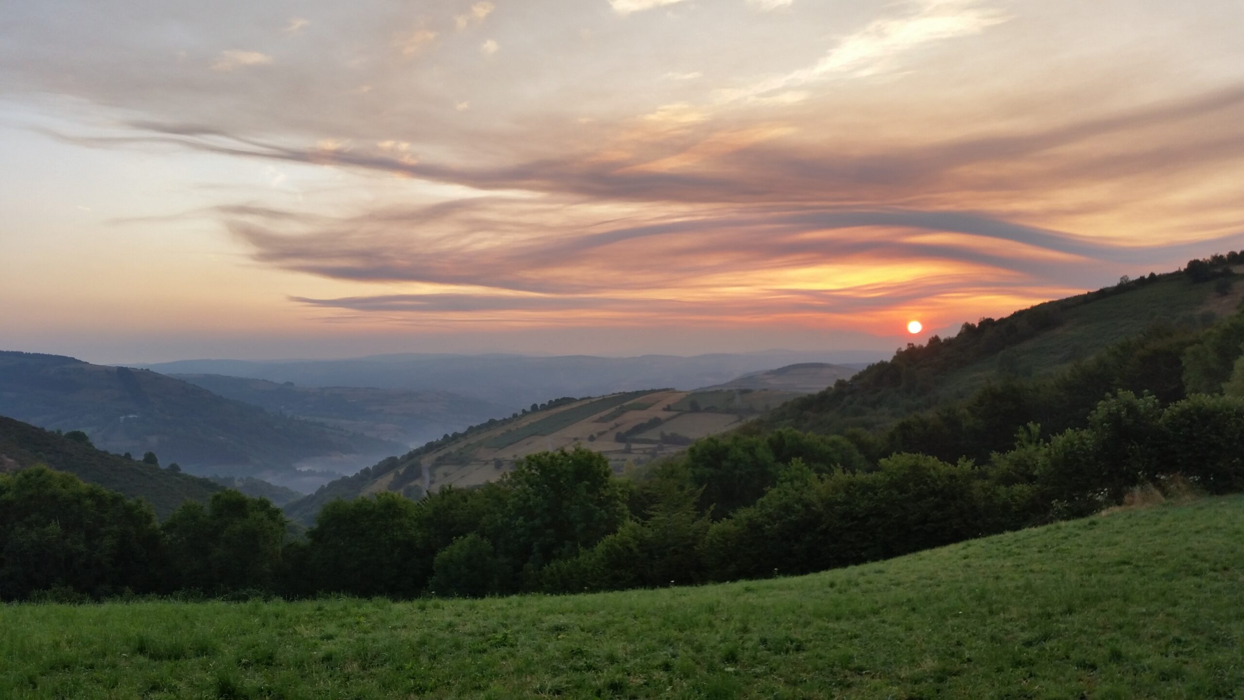 Qu&rsquo;avez-vous fait aujourd&rsquo;hui ?