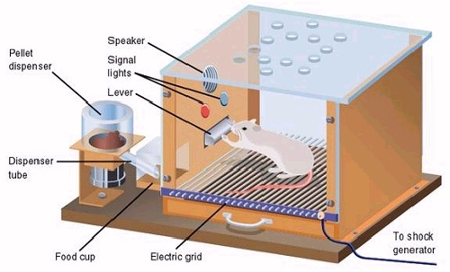 Les prisonniers du smartphone