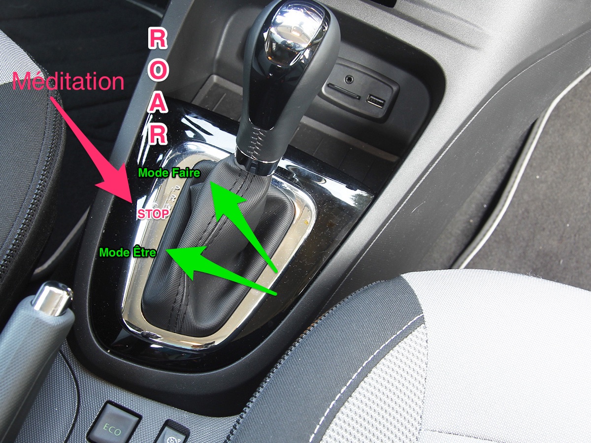 Savez-vous utiliser votre levier de vitesse personnel pour changer votre fonctionnement ?