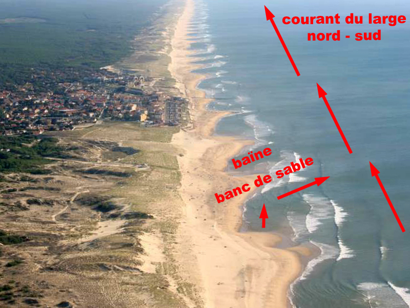 La vie à la plage : se débattre dans le courant (ACT)