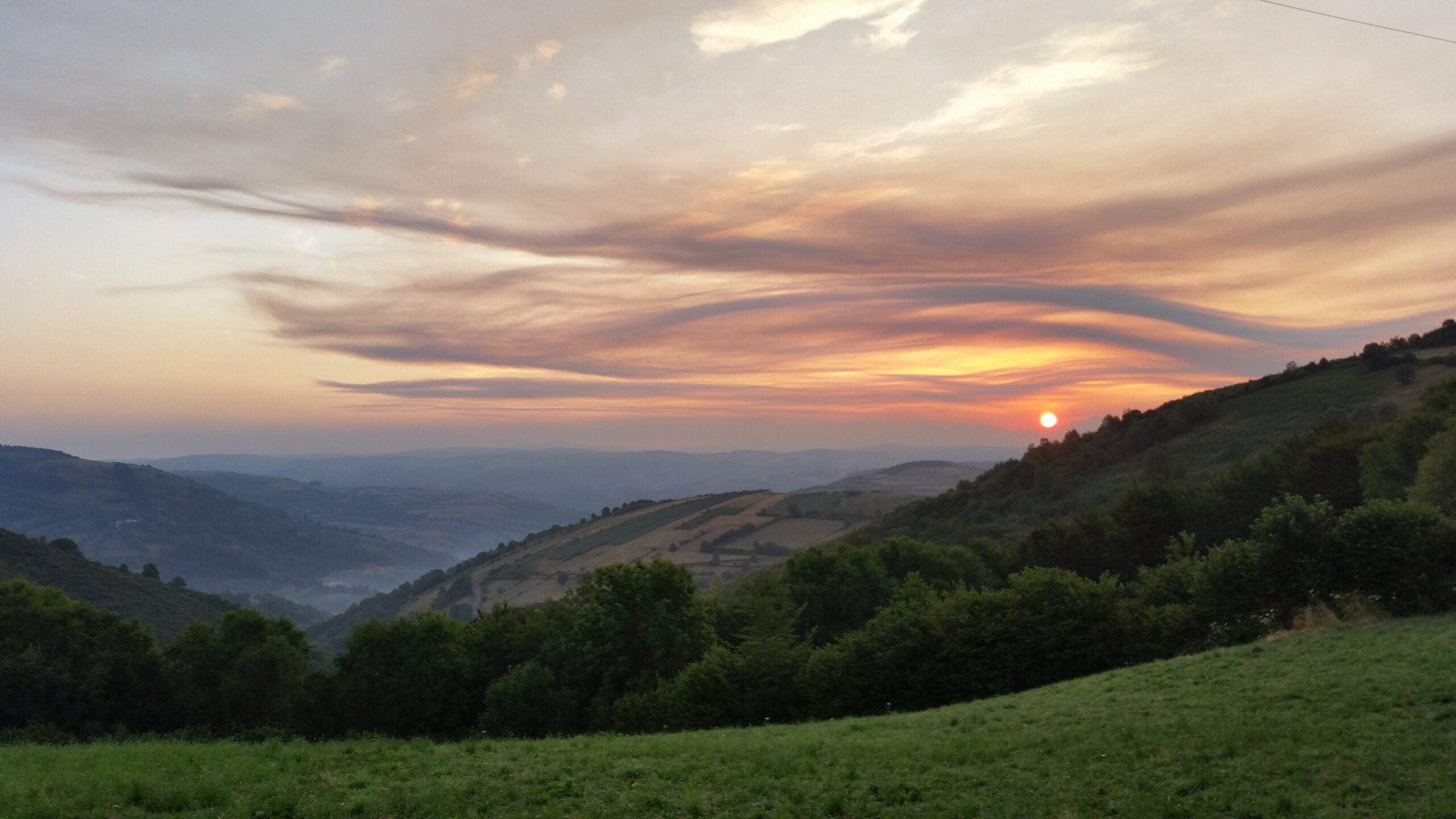 Faut-il lutter contre le stress ?