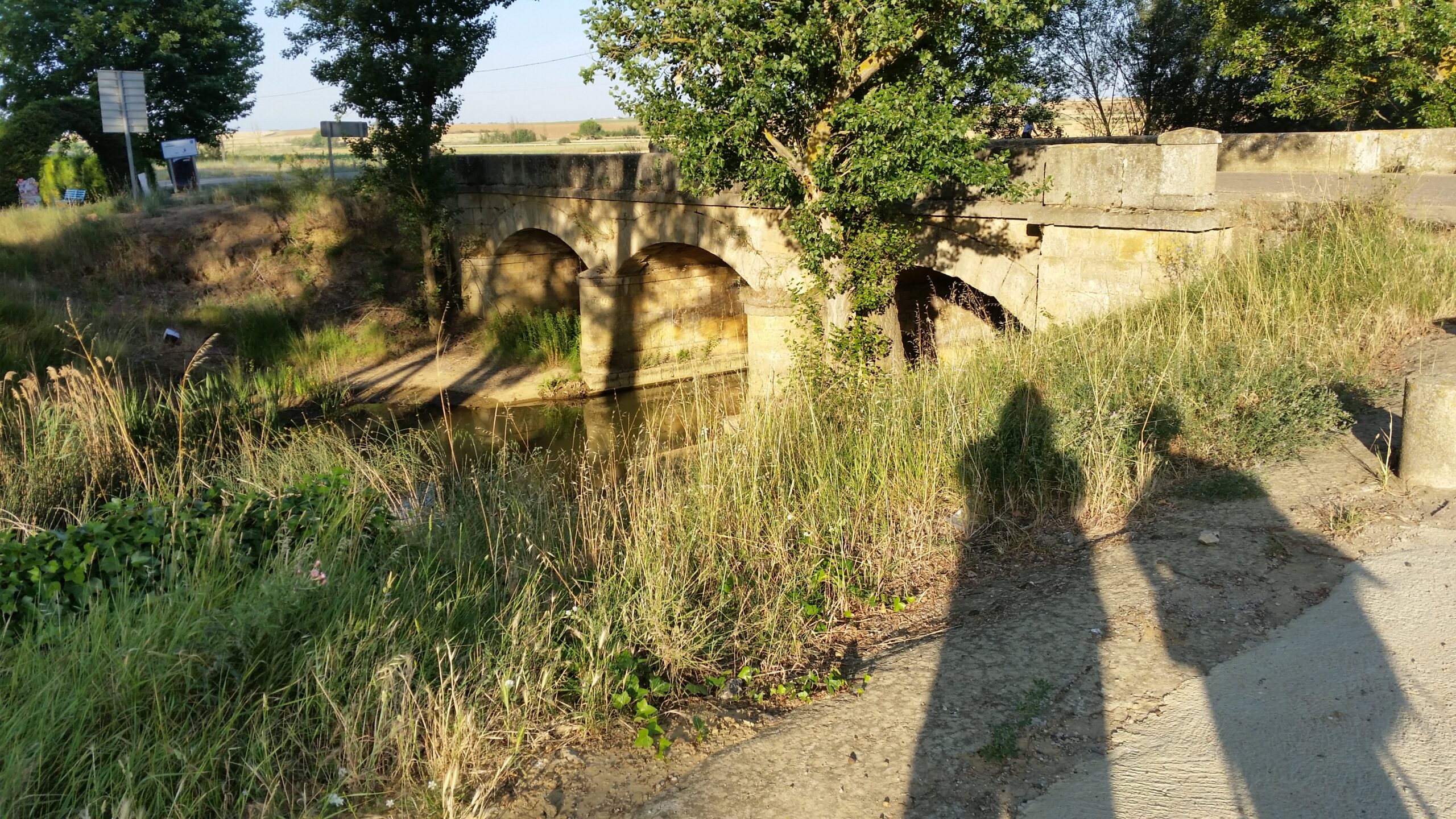 Il marchait avec une ânesse qui s&rsquo;appelait Modestine.