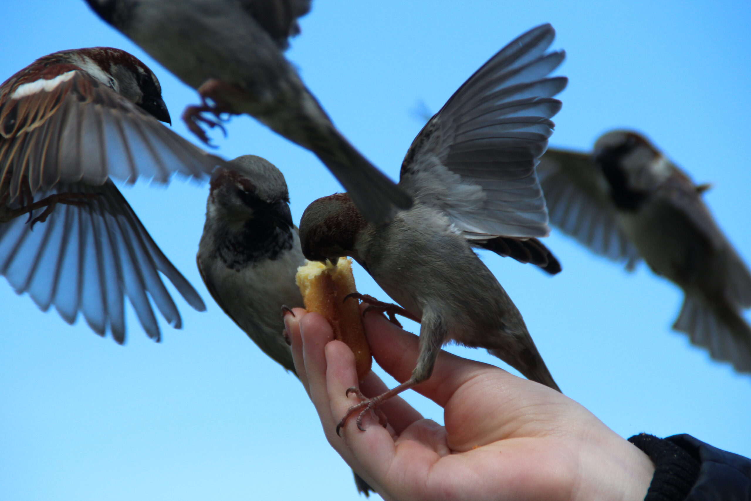 La journée internationale des droits des femmes…