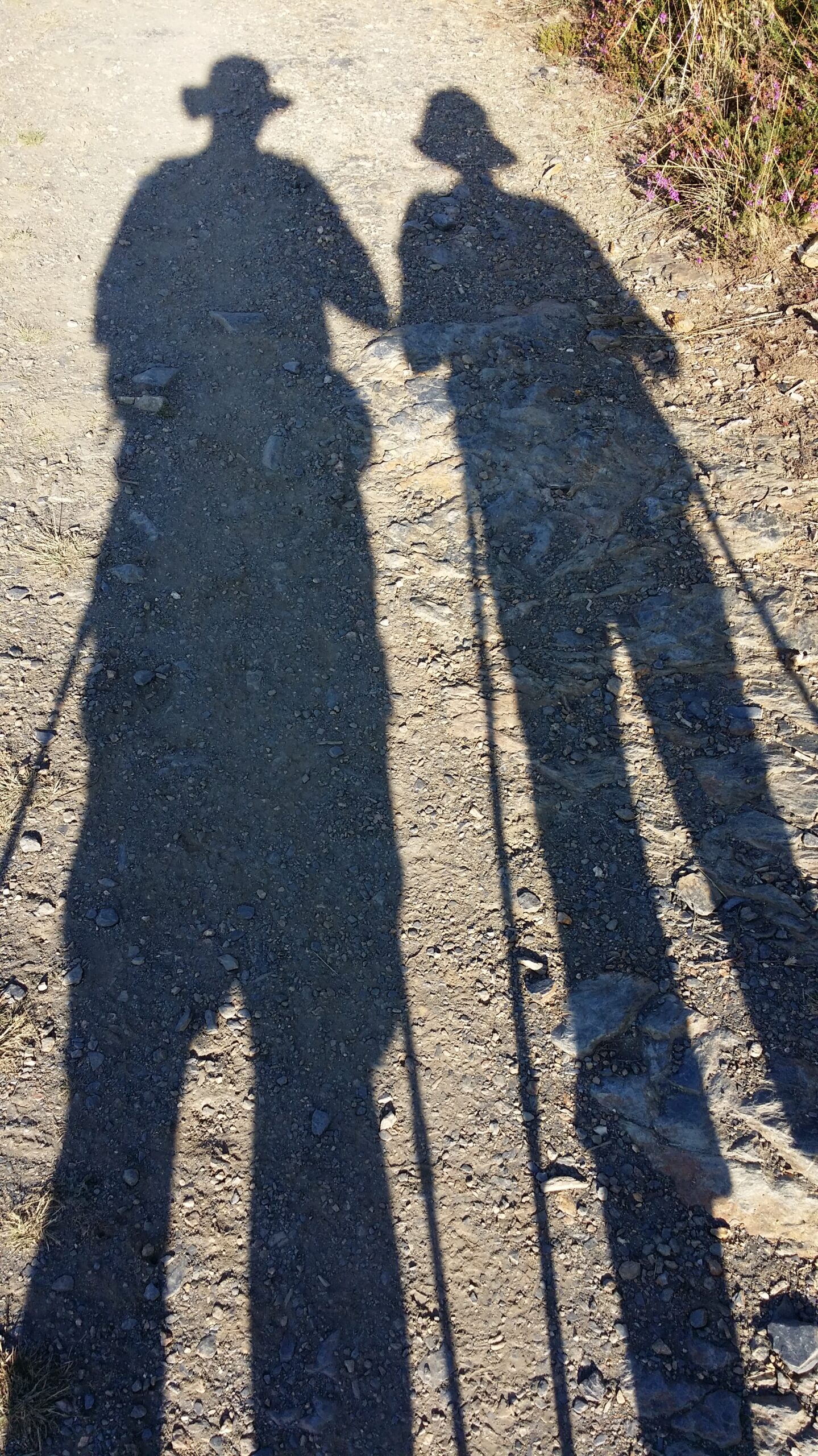 Je serai heureux quand je serai ailleurs… Une illusion commune